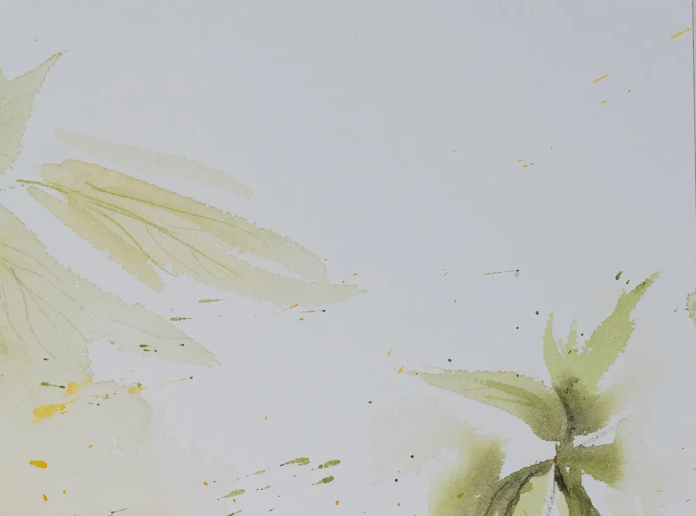 Detail 2 of Mangoes