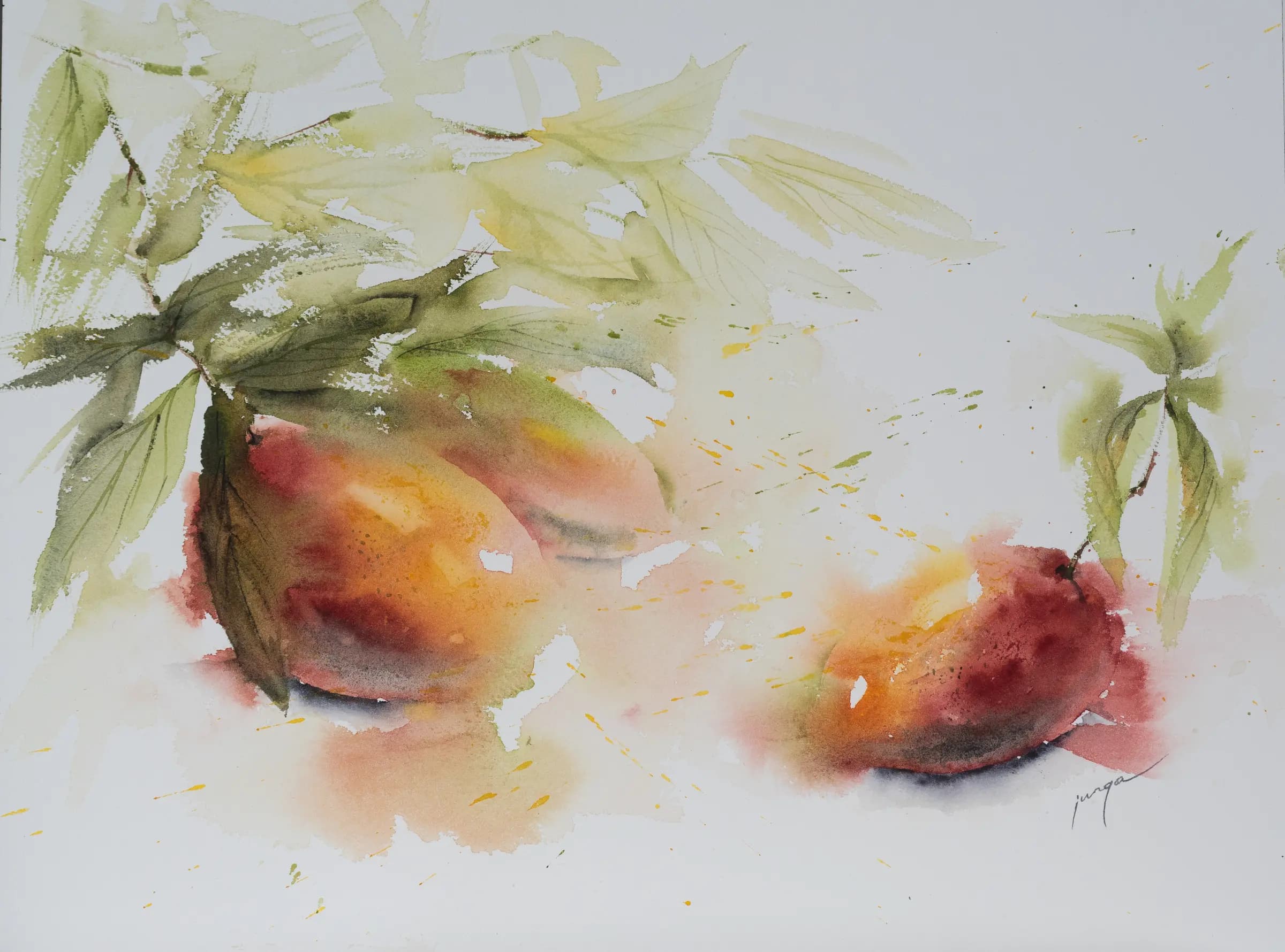 Mangoes watercolour by Jurga Vilimaite
