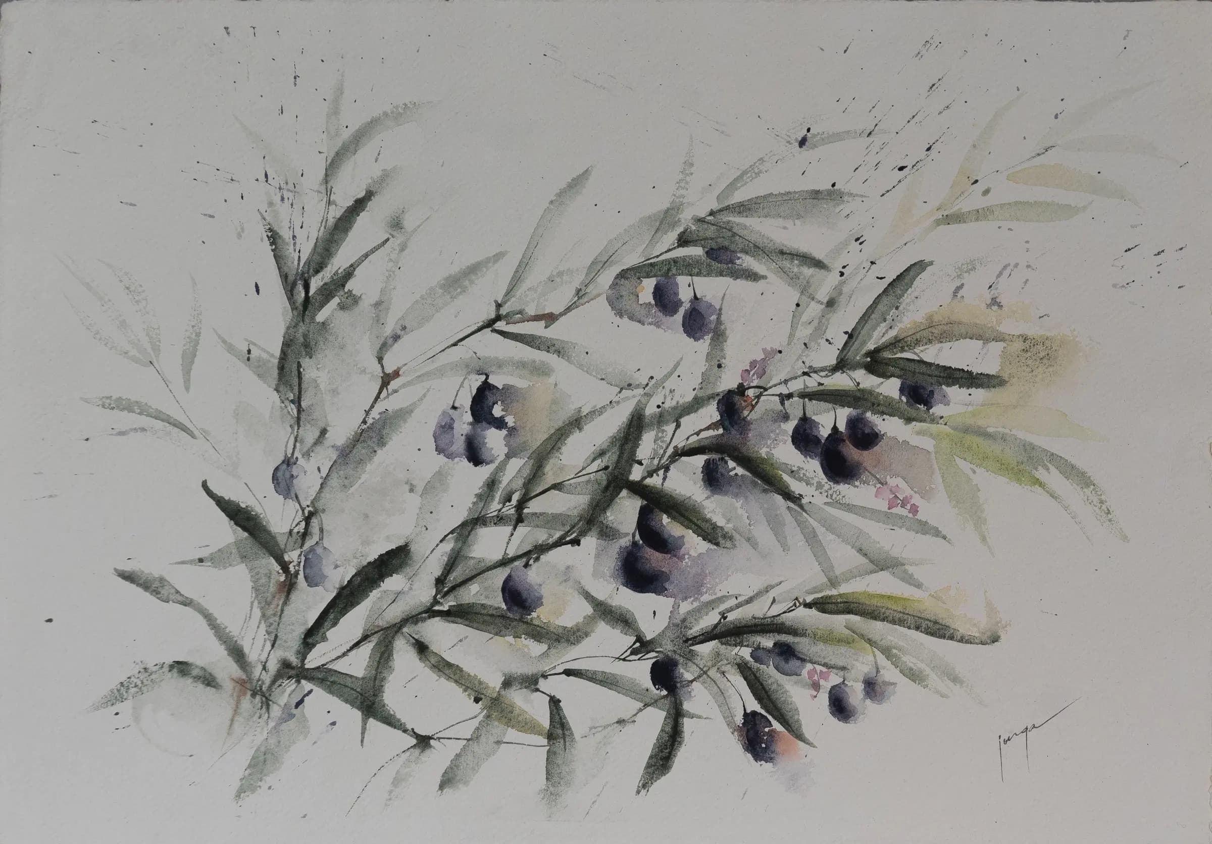Olive Branch, an original watercolour painting by Jurga Vilimaite