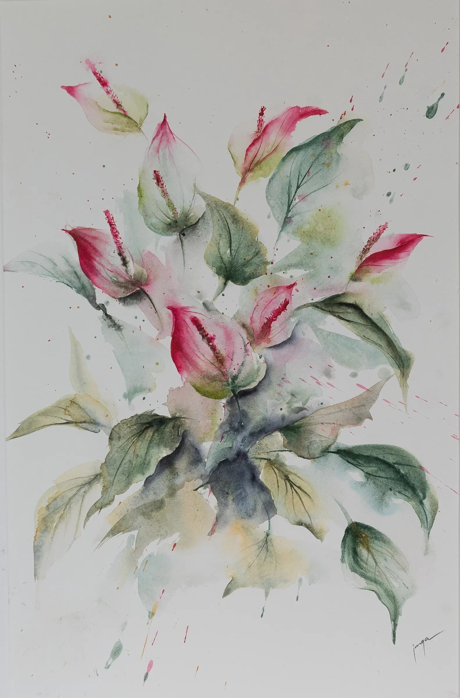 Pinks, an original watercolour painting by Jurga Vilimaite
