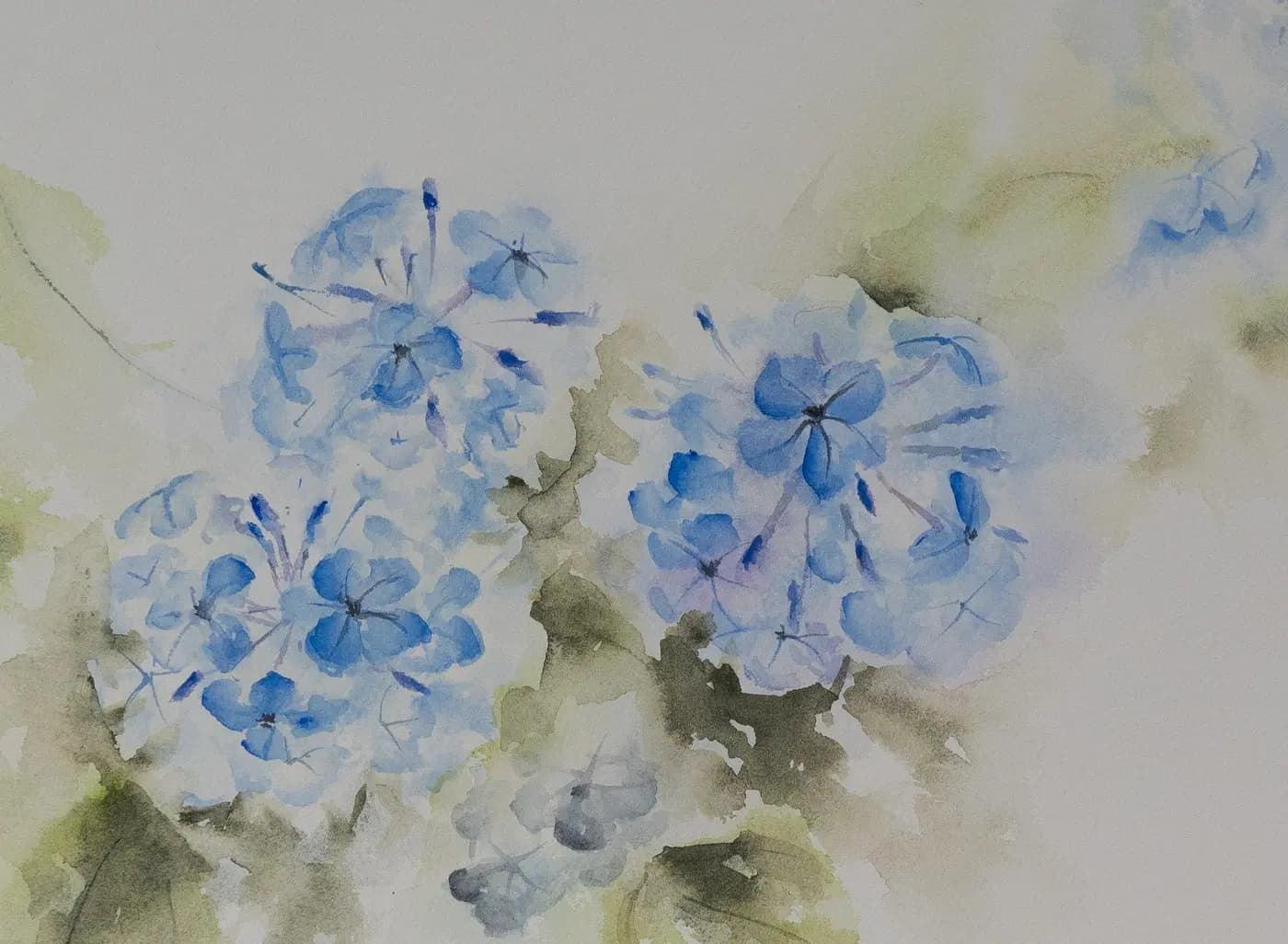 Detail 1 of Plumbago