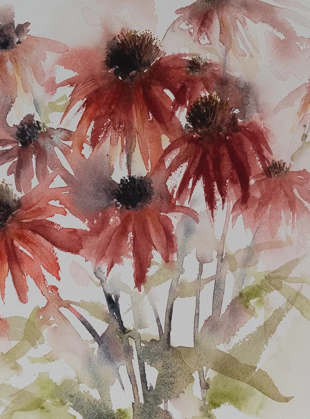 Detail 1 of Rudbeckia
