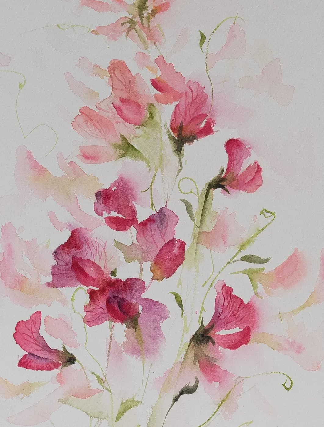 Detail 1 of Sweet Pea