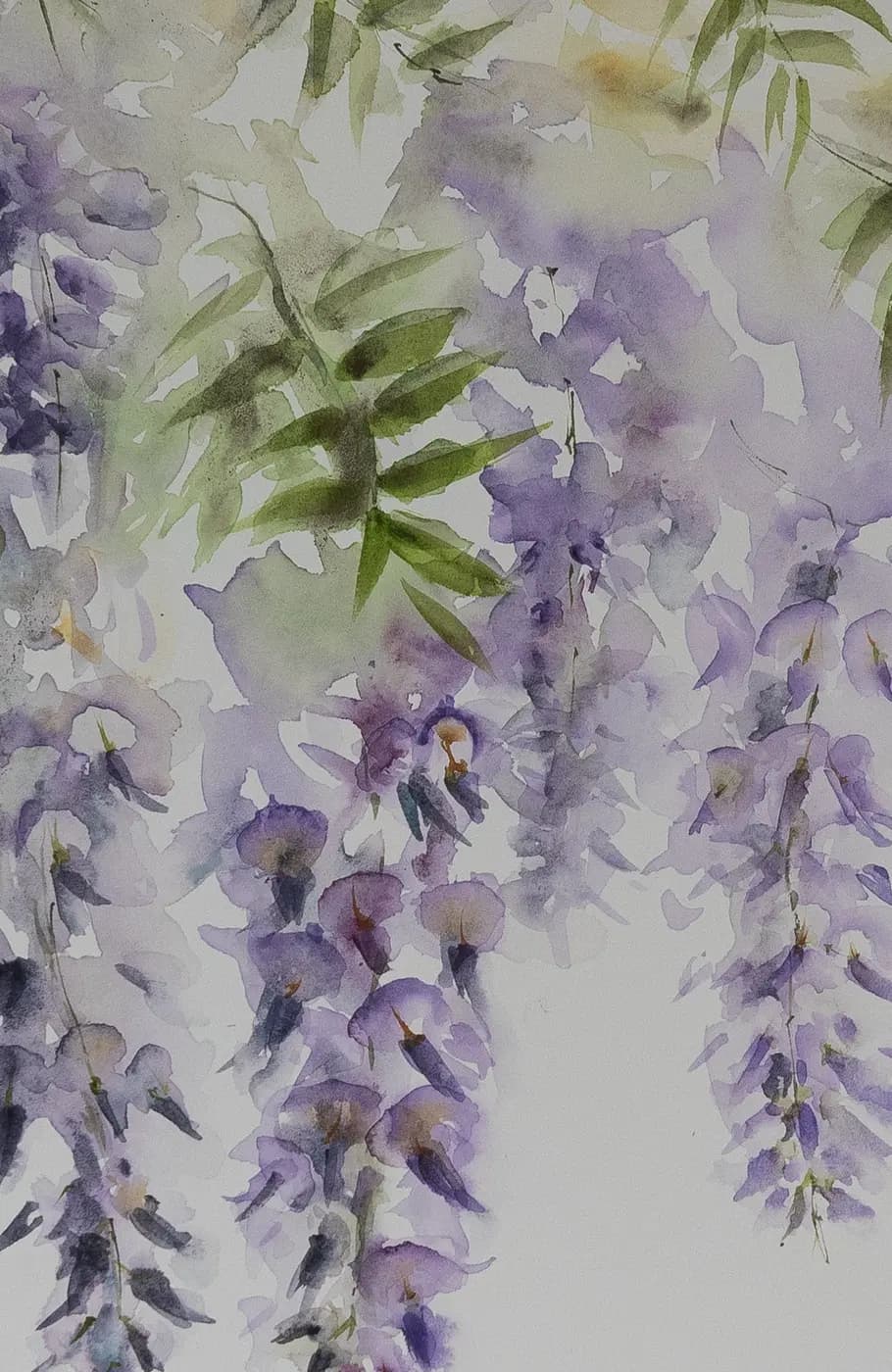 Detail 1 of Wisteria in Kensington