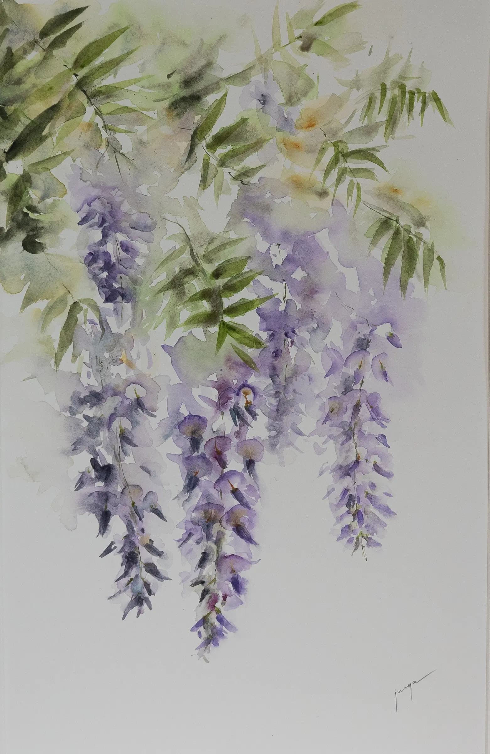Wisteria in Kensington, an original watercolour painting by Jurga Vilimaite