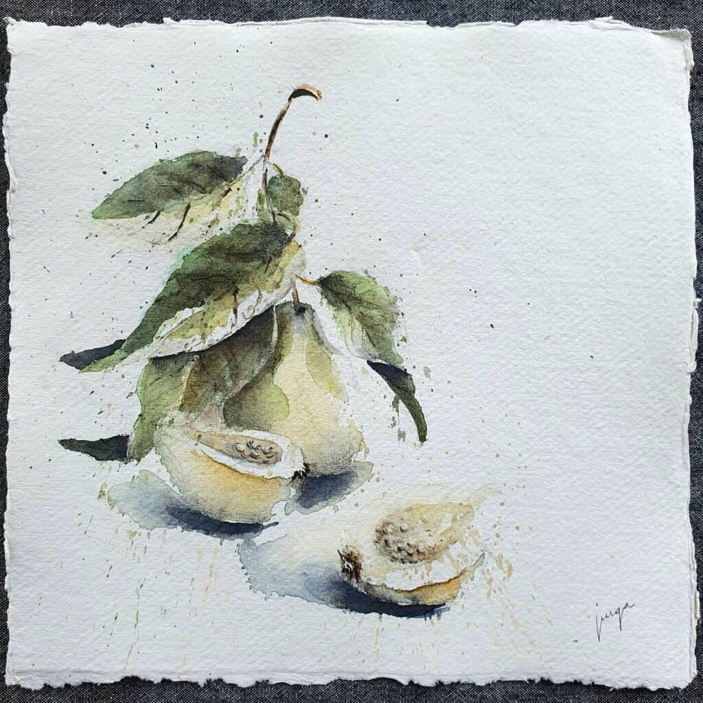 Sun burnt guavas, an original watercolour work by Jurga Vilimaite