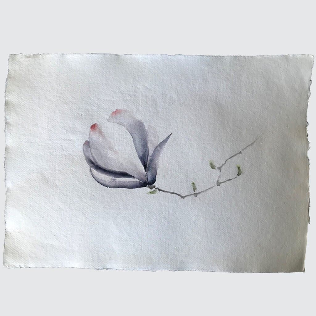 Tulip tree, an original watercolour work by Jurga Vilimaite