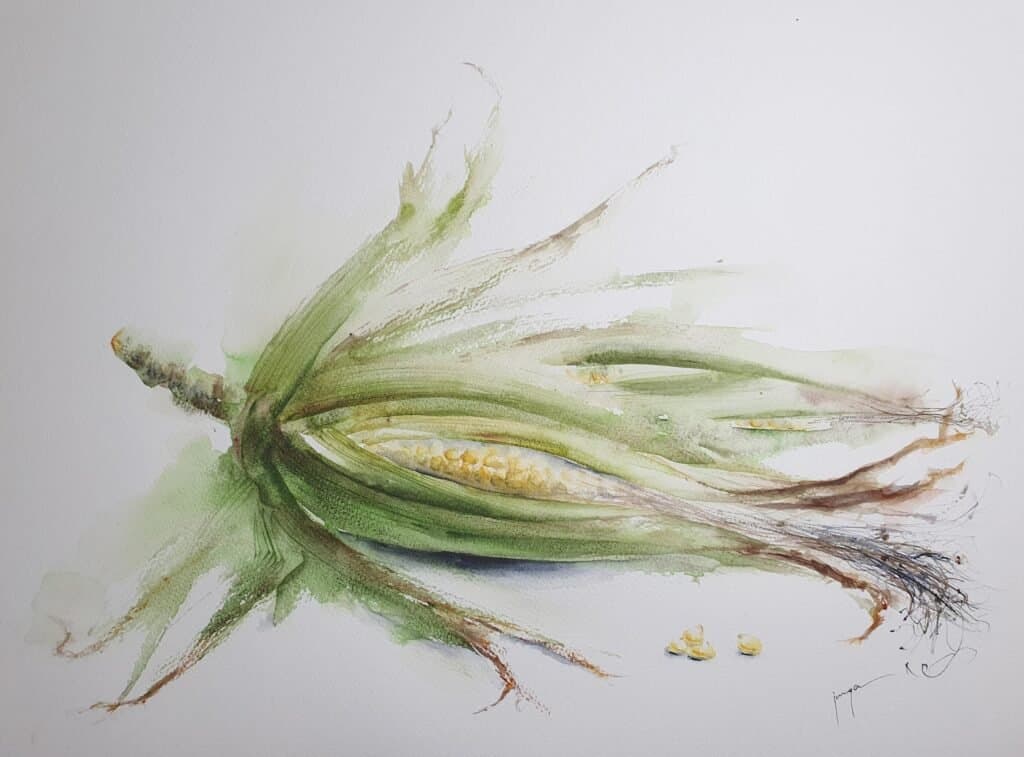 Unruly Corn, an original watercolour work by Jurga Vilimaite