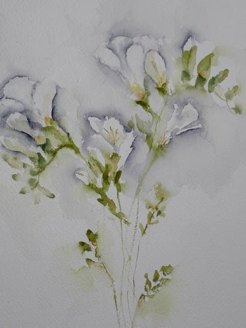 White Fresias, an original watercolour work by Jurga Vilimaite