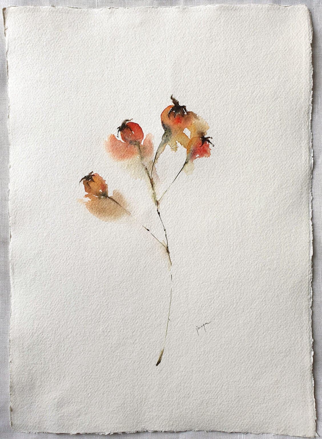 Winter Rosehip, an original watercolour work by Jurga Vilimaite