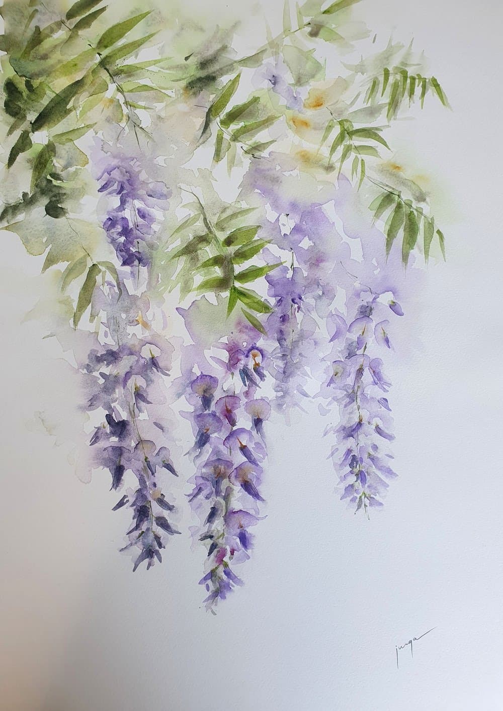 Wisteria in Kensington, an original watercolour work by Jurga Vilimaite