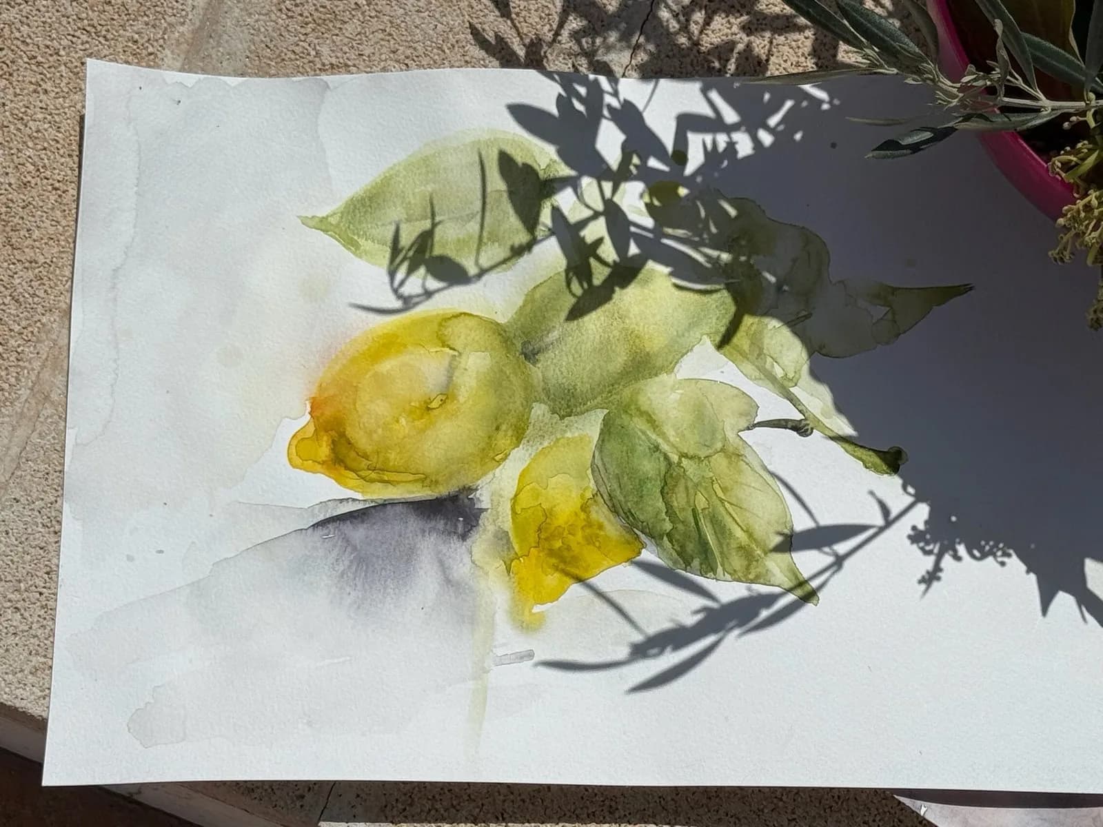 Painting retreat in Albaida, Spain, 2025