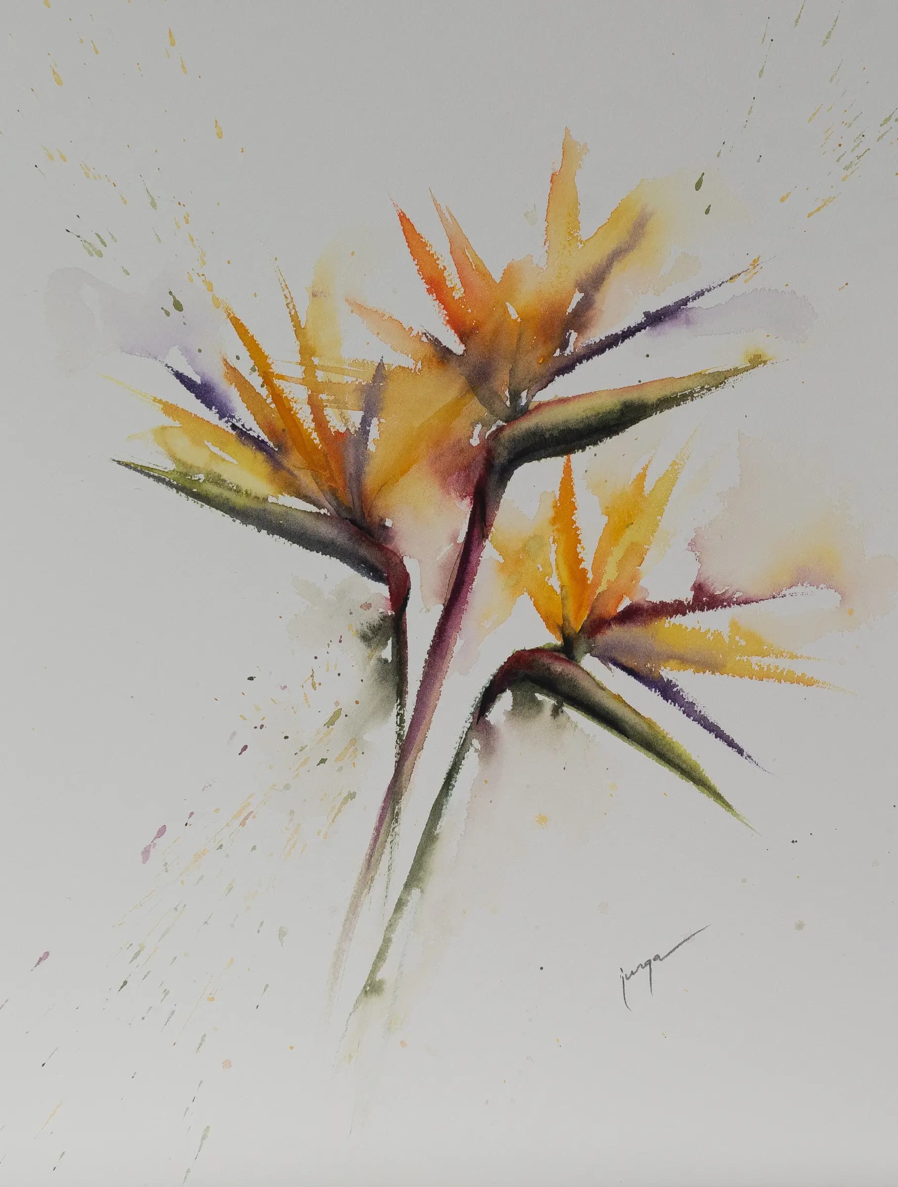 Bird of Paradise, an original watercolour painting by Jurga Vilimaite