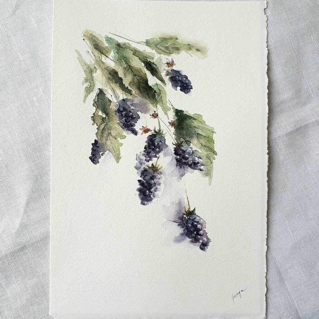 Blackberries, an original watercolour work by Jurga Vilimaite
