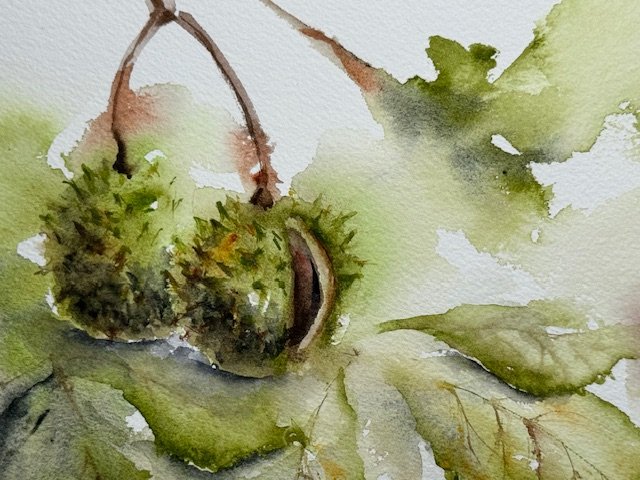 Chestnuts, an original watercolour work by Jurga Vilimaite