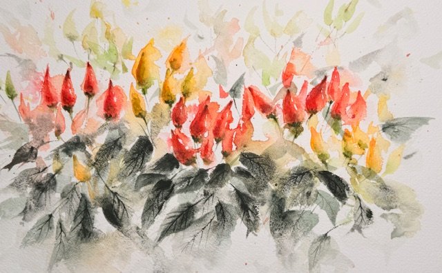 Dancing chillies, an original watercolour work by Jurga Vilimaite