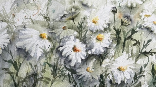 Dancing daisies, an original watercolour work by Jurga Vilimaite