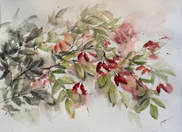 Hibiscus, an original watercolour work by Jurga Vilimaite