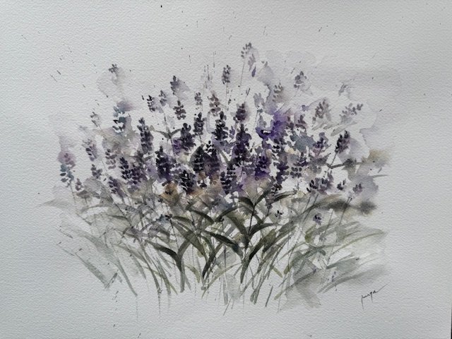 Lavender lullaby, an original watercolour work by Jurga Vilimaite