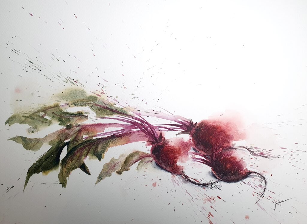 Lazy Beetroot, an original watercolour work by Jurga Vilimaite