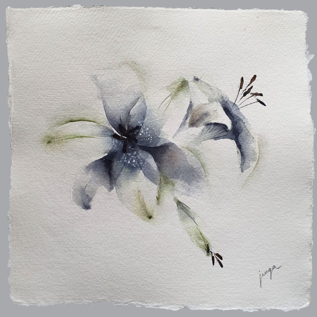 Lilies, an original watercolour work by Jurga Vilimaite