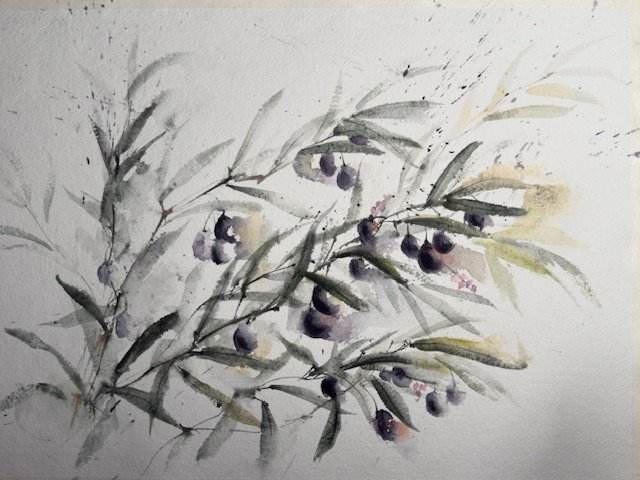 Olive Branch, an original watercolour work by Jurga Vilimaite