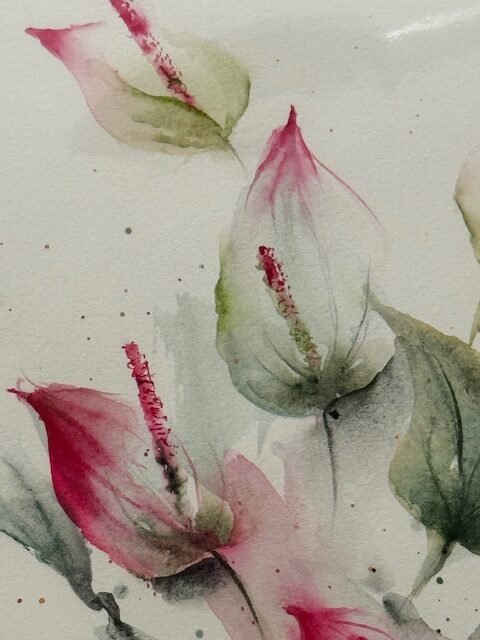 Pinks, an original watercolour work by Jurga Vilimaite