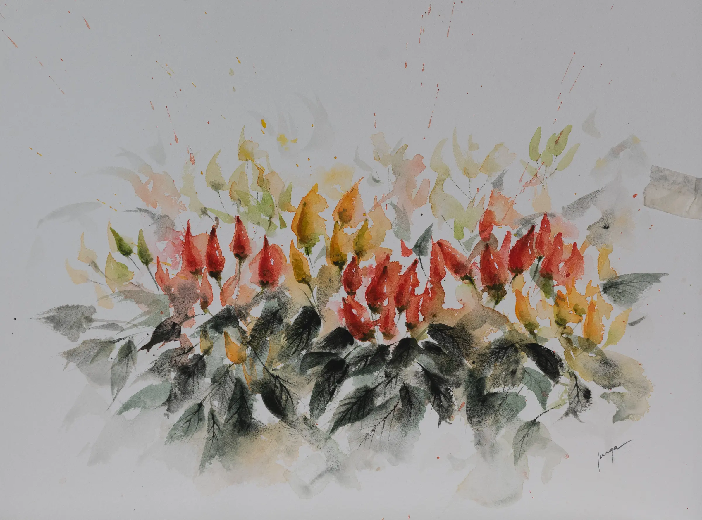 Dancing Chillies, an original watercolour painting by Jurga Vilimaite
