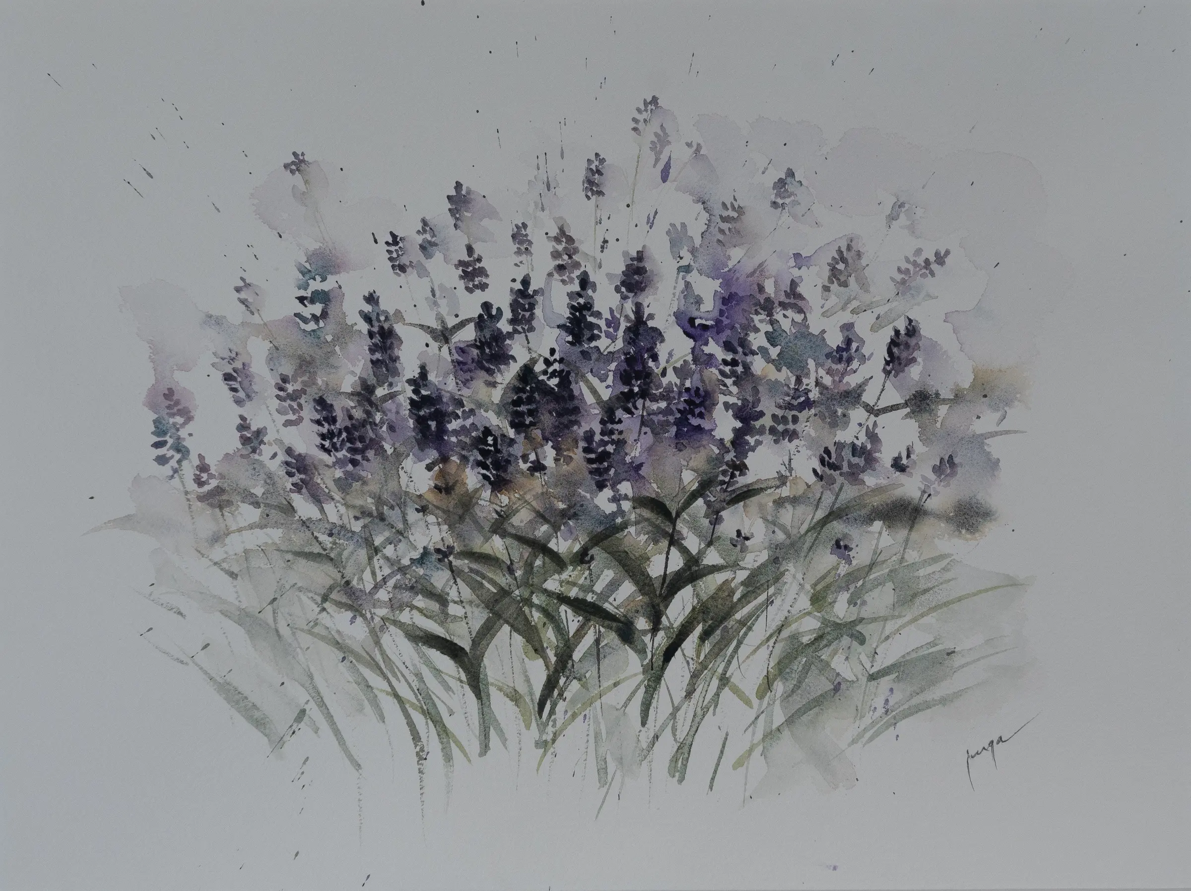 Lavender Lullaby, an original watercolour painting by Jurga Vilimaite