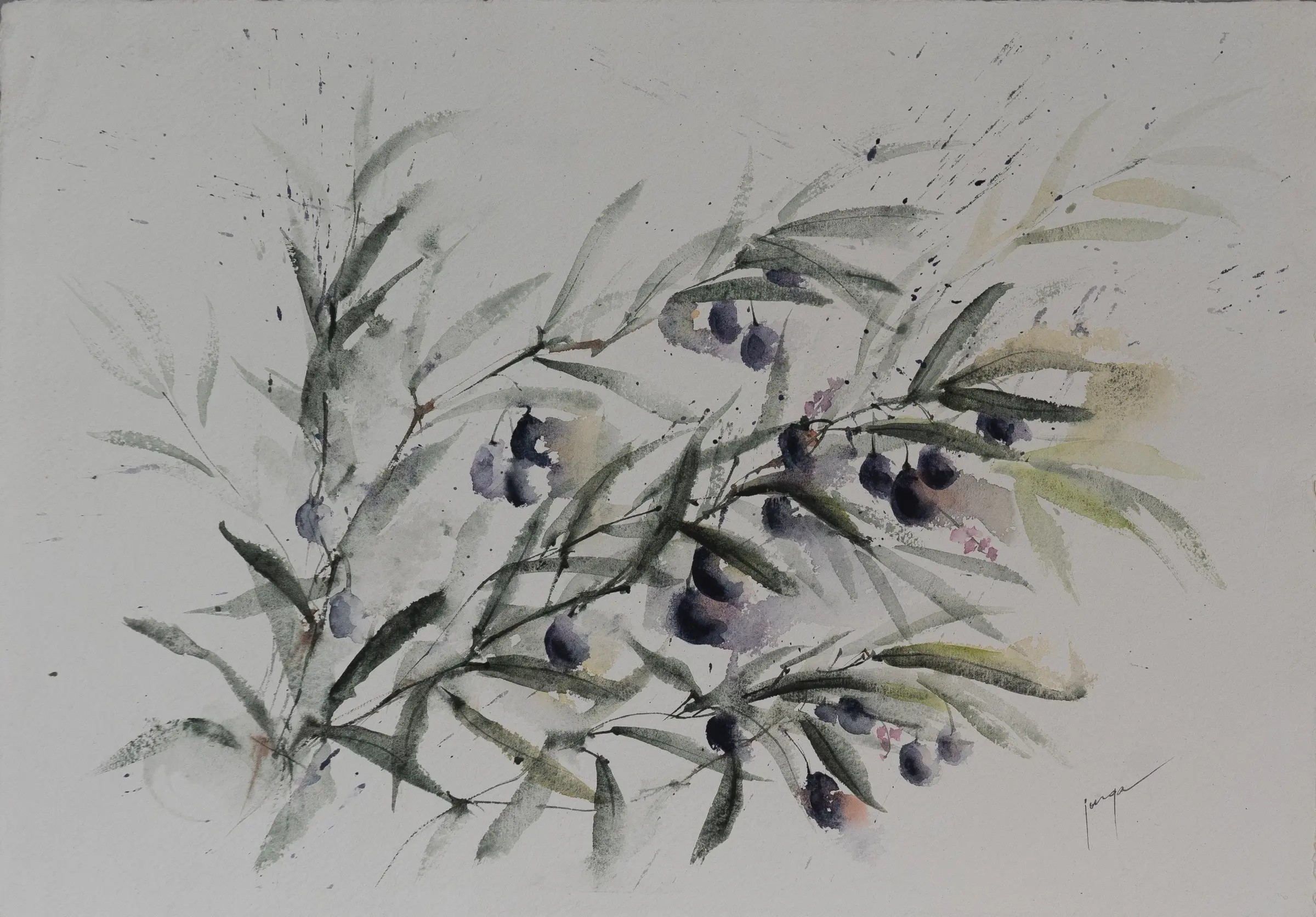 Olive Branch, an original watercolour painting by Jurga Vilimaite