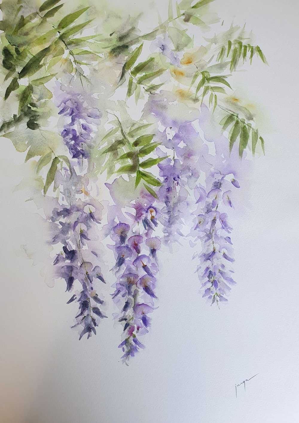 Wisteria in Kensington, an original watercolour work by Jurga Vilimaite