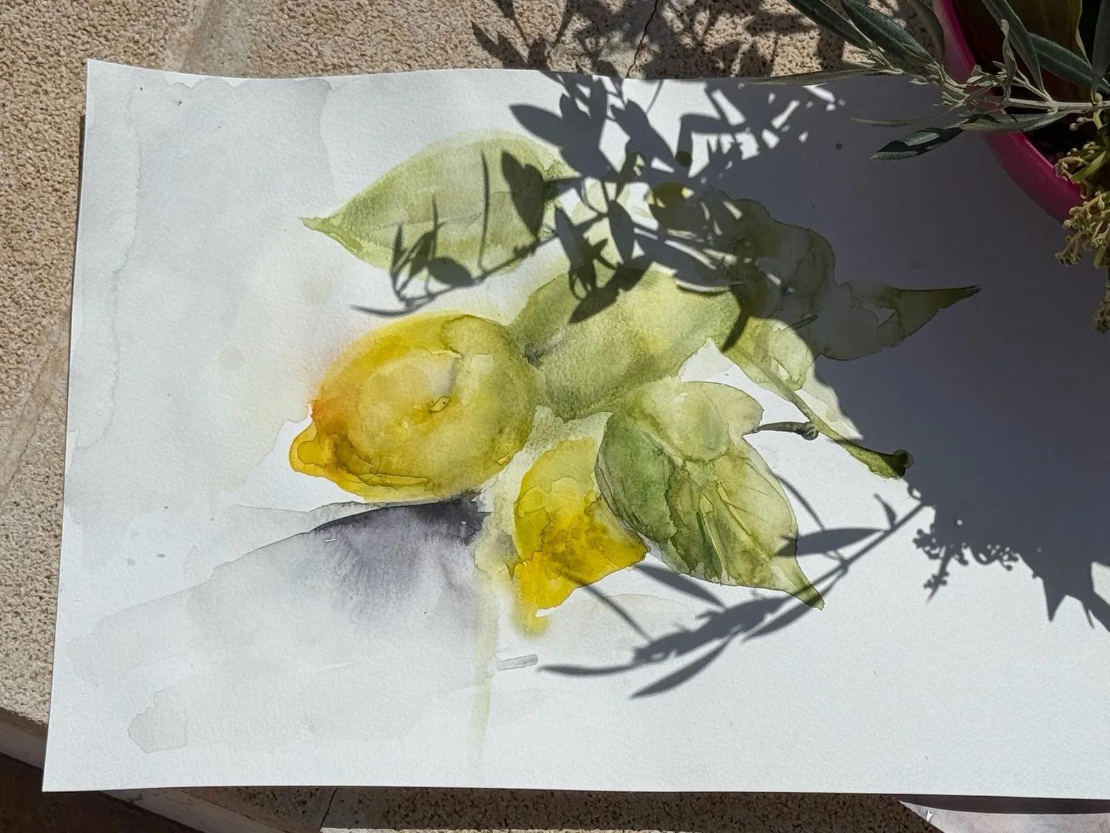 Painting retreat in Albaida, 2025