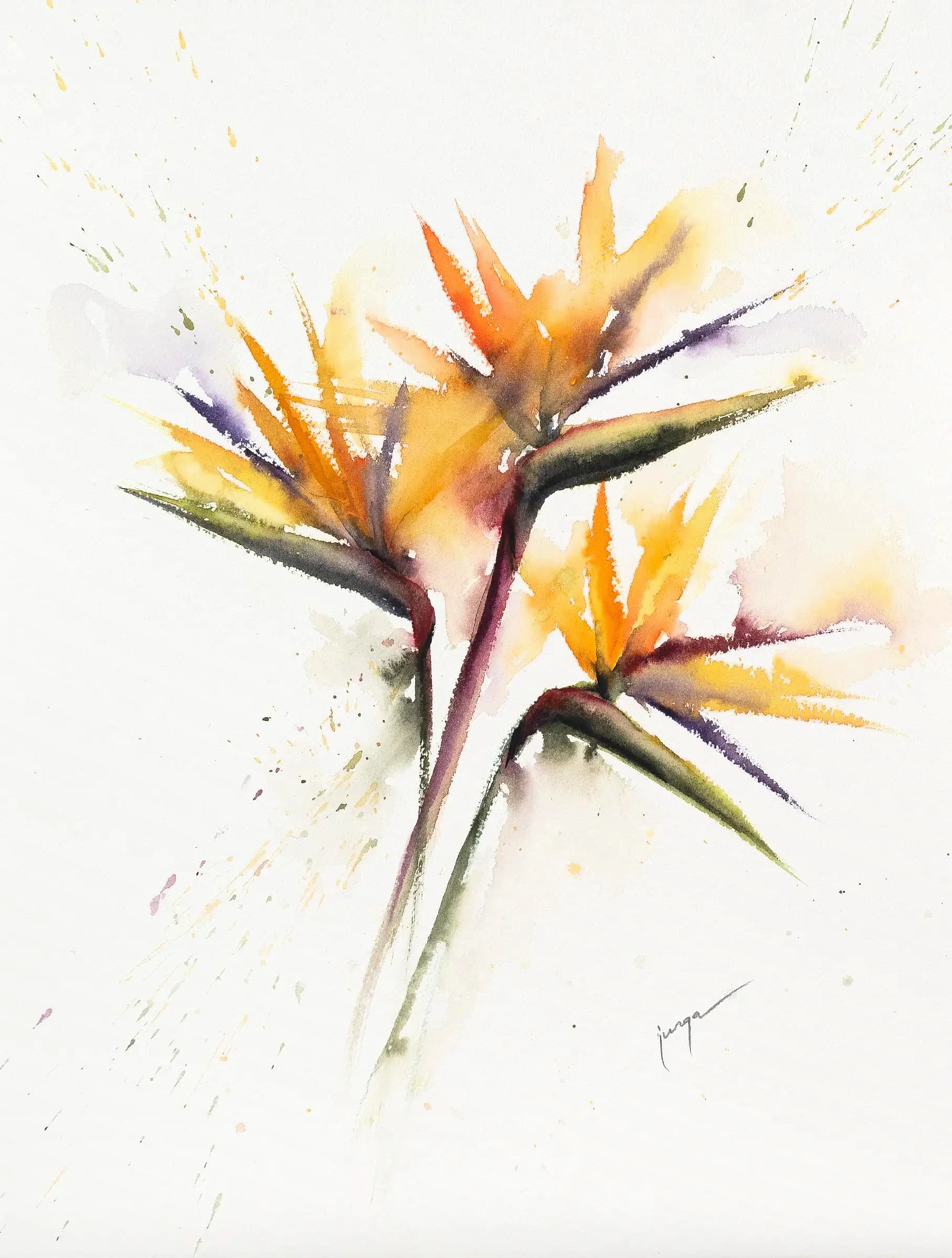 Bird of Paradise, original watercolour by Jurga Vilimaite