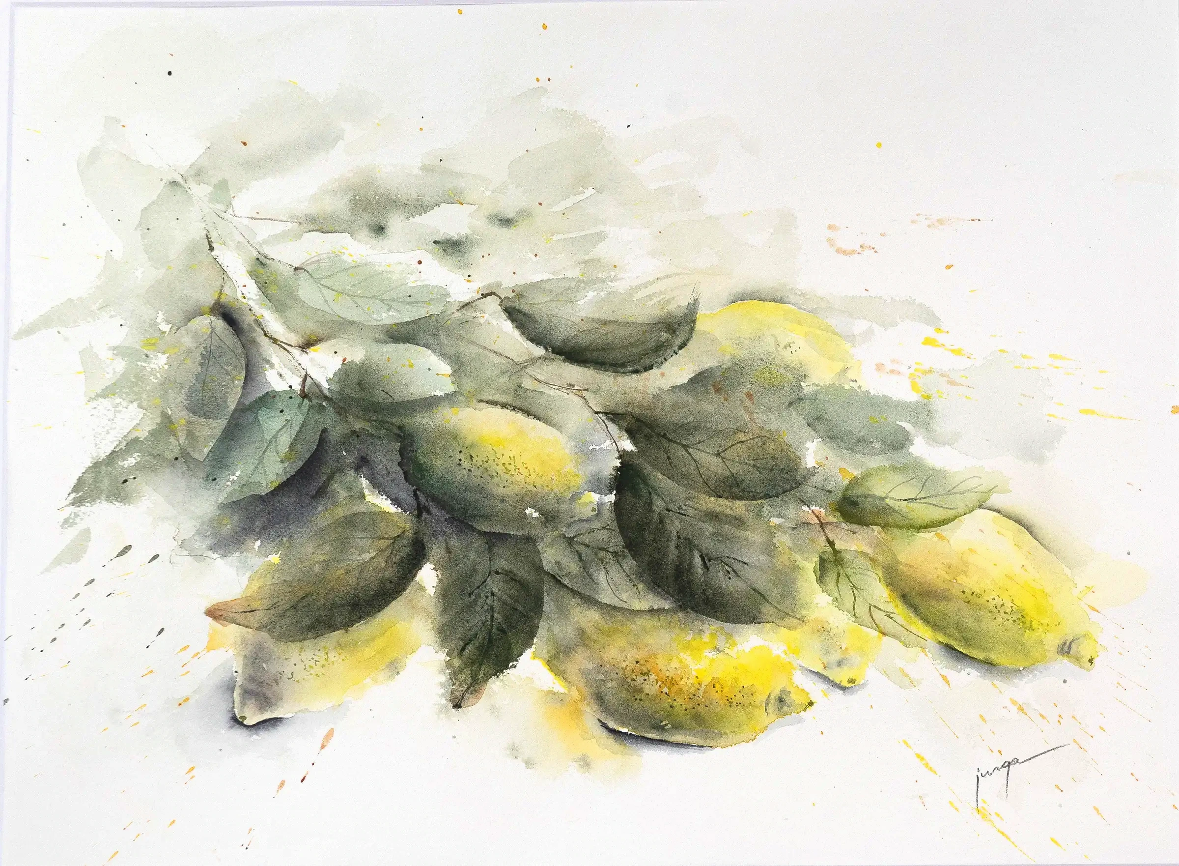 Lemons by Jurga Vilimaite