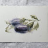 Aubergine