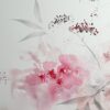 Pinks - Image 3