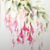 Fuscia - Image 5