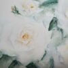 white roses, watercolour, painting