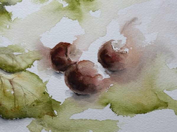 Chestnuts - Image 3