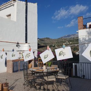 WhatsApp Image 2025-02-10 at 22.48.46